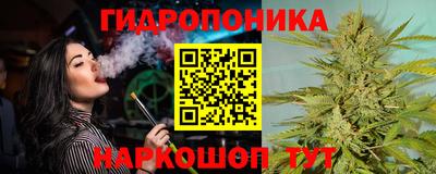 mdpv Партизанск