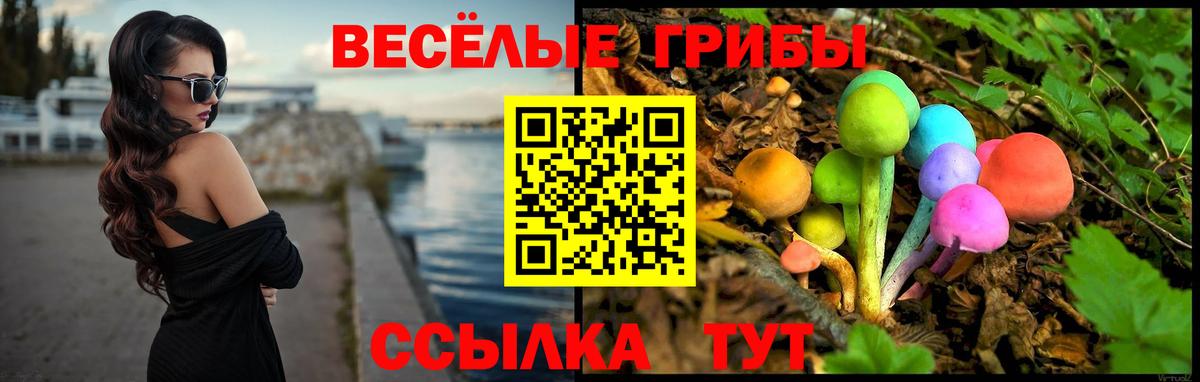 Петропавловск-Камчатский  Псилоцибиновые грибы мухоморы  Вход с VPN 